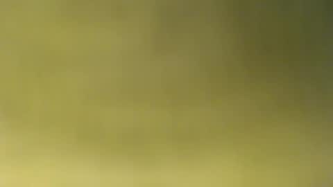 Snapshot of oliver_laid_2023 chatting on 11/30/25, 08:51 oliver_laid_2023 online show from 11/30/25, 08:51