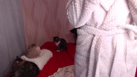 Olivia online show from 12/31/24, 12:32