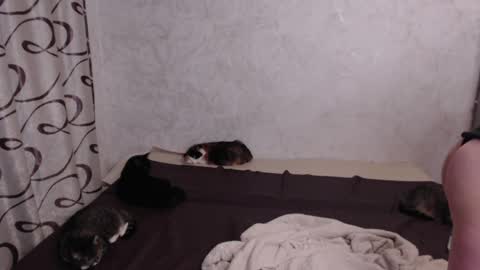 Snapshot of olivia_redd chatting on 05/15/26, 08:49 Olivia online show from 05/15/26, 08:49