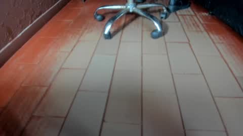   online show from 01/13/25, 12:45