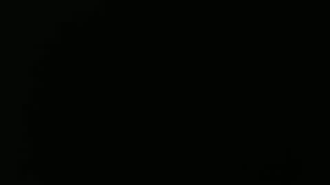 olli_5 online show from 02/13/25, 11:17