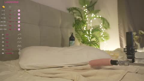 Lily dont forget to follow me  good to see you all online show from 02/04/25, 07:00