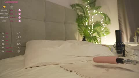 Lily dont forget to follow me  good to see you all online show from 03/01/25, 06:21