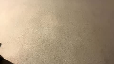 Snapshot of omgyesgurl chatting on 09/28/25, 08:47 amy 3 online show from 09/28/25, 08:47