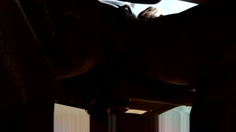 oneeyesnake1843142 online show from 10/19/25, 06:25