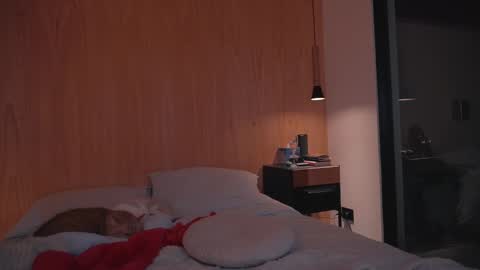 Ariel online show from 12/27/24, 06:53