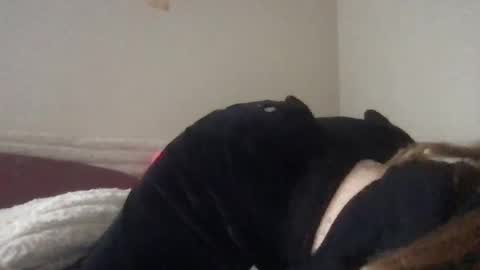 Lovella online show from 12/01/24, 07:25