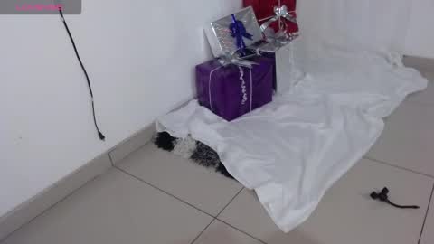 Snapshot of onlysaralee chatting on 12/23/25, 04:21 Sara Lee online show from 12/23/25, 04:21