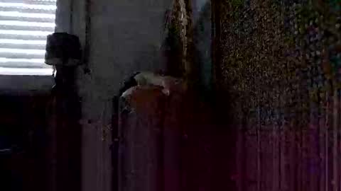 Snapshot of onlywholes chatting on 01/26/25, 09:08 onlywholes online show from 01/26/25, 09:08