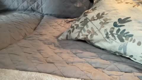 Snapshot of onthedlhere chatting on 01/09/25, 07:18 onthedlhere online show from 01/09/25, 07:18