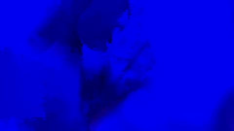 onurkneespls online show from 09/28/25, 12:05