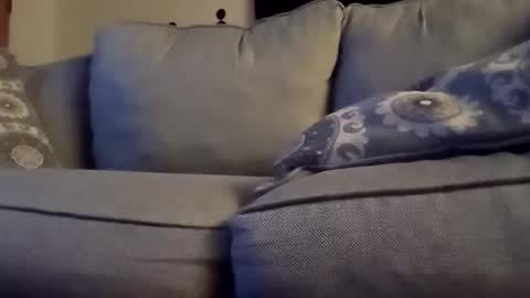 openmind_holes online show from 01/29/25, 06:01