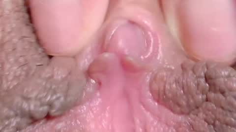 Snapshot of orchidekitty chatting on 04/10/26, 11:20 orchidekitty online show from 04/10/26, 11:20