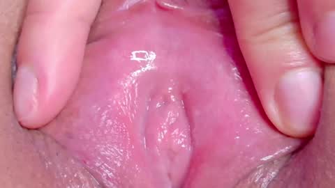 orchidekitty online show from 05/02/26, 11:10