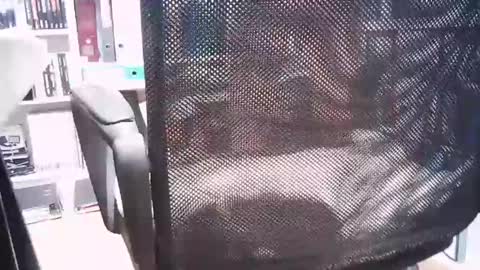 oren online show from 03/01/25, 02:44