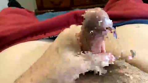 Super Soaker Oreo World online show from 12/30/24, 07:21