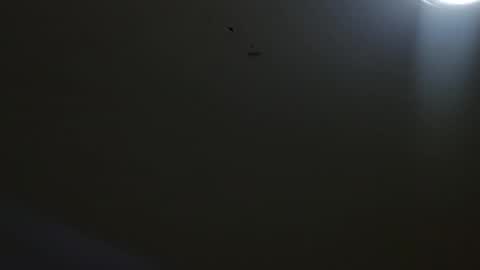 oriana_111 online show from 05/04/26, 11:28