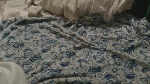 originalcali95 online show from 02/02/26, 03:27