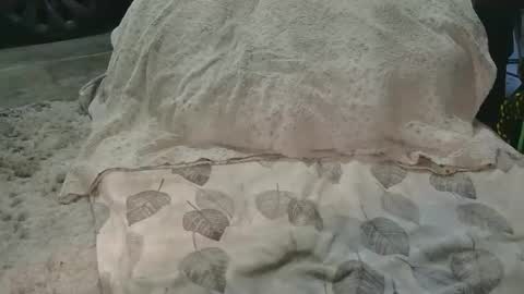 Snapshot of originalcali95 chatting on 03/15/26, 12:38 originalcali95 online show from 03/15/26, 12:38