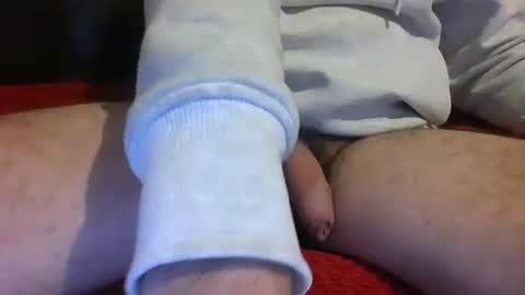 ornytologist online show from 01/17/25, 09:49