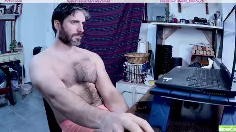 Snapshot of osito_blanco chatting on 05/08/26, 11:43 Osito Blanco online show from 05/08/26, 11:43