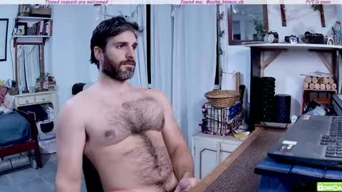 Snapshot of osito_blanco chatting on 05/12/26, 12:08 Osito Blanco online show from 05/12/26, 12:08
