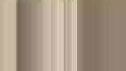 rossignol online show from 12/14/24, 12:33