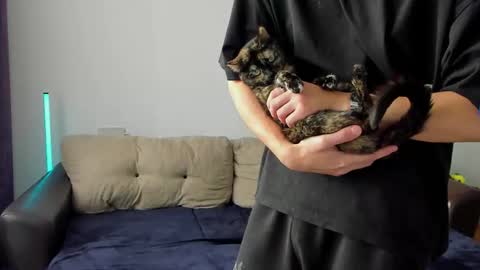 Snapshot of ostin_meoww chatting on 03/06/26, 08:44 Ostin online show from 03/06/26, 08:44