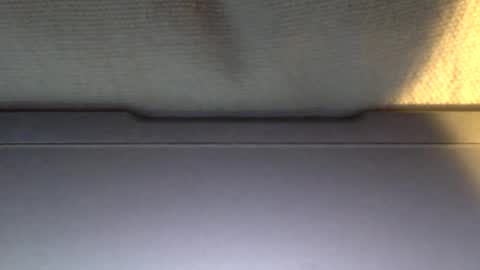 Otto online show from 01/21/25, 04:05