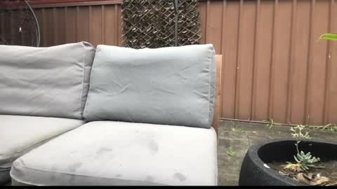 Hrny aussie surfer online show from 09/27/25, 12:59