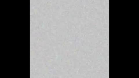 Snapshot of p0rsche911 chatting on 12/12/24, 04:53 Alice online show from 12/12/24, 04:53