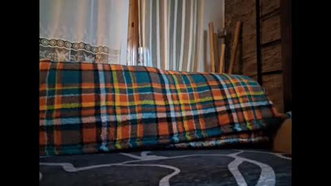 p326032 online show from 11/06/25, 09:37