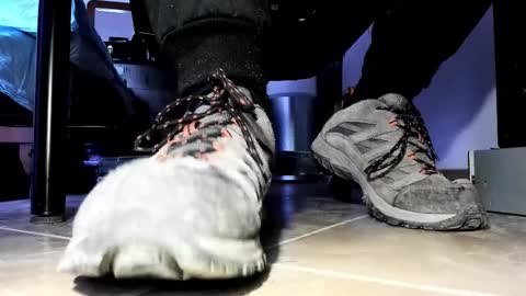 Pablo Meness online show from 03/21/26, 06:29