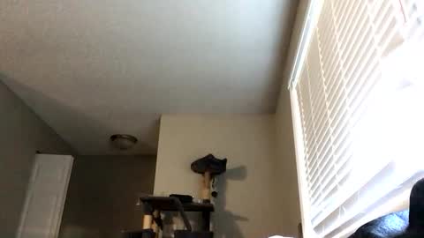 paigechantel online show from 02/19/26, 11:45