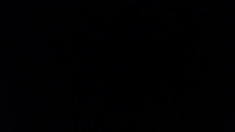 paiperhalliwey online show from 02/07/25, 08:55