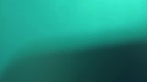   PALA online show from 03/08/25, 11:18