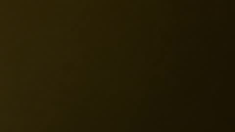 palerider269 online show from 11/19/25, 07:36