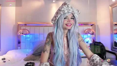 Palmer  online show from 11/15/25, 02:24