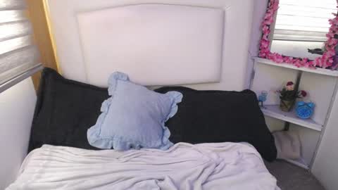 Snapshot of palmer_mix chatting on 12/28/24, 04:20 Palmer online show from 12/28/24, 04:20