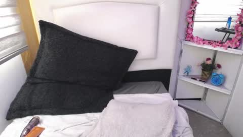 Snapshot of palmer_mix chatting on 01/08/25, 06:20 Palmer online show from 01/08/25, 06:20