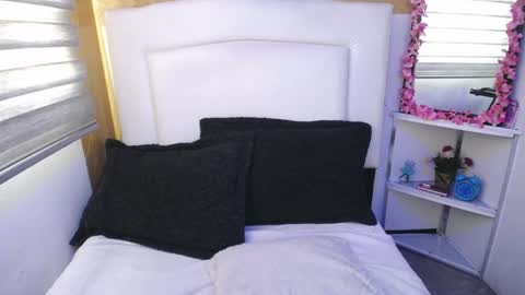 Snapshot of palmer_mix chatting on 01/11/25, 12:40 Palmer online show from 01/11/25, 12:40