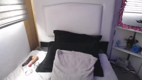 Snapshot of palmer_mix chatting on 03/12/25, 07:17 Palmer online show from 03/12/25, 07:17