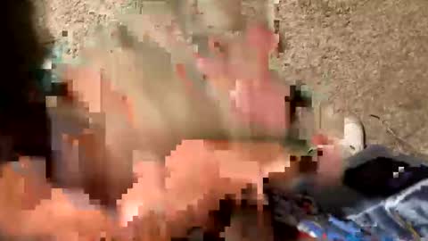 Snapshot of palote_69 chatting on 10/17/25, 03:42 palote_69 online show from 10/17/25, 03:42