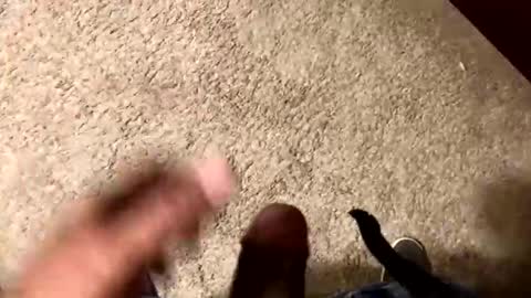 Snapshot of palote_69 chatting on 11/15/25, 03:37 palote_69 online show from 11/15/25, 03:37