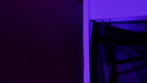  P A M  online show from 11/23/25, 04:12