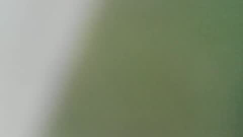 pandemonium696 online show from 02/02/26, 11:47