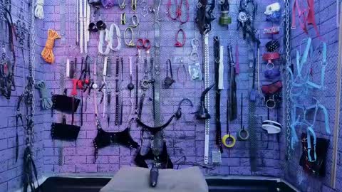 PandoraNez online show from 03/02/25, 01:38