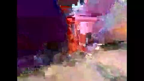 pankonduktorr online show from 05/19/26, 07:31