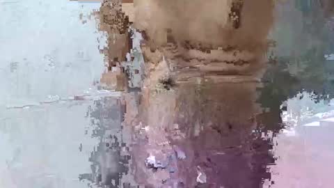 Snapshot of pankubig chatting on 09/29/25, 09:25 pankubig online show from 09/29/25, 09:25