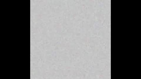 PantsLessTraveler online show from 12/25/24, 07:34